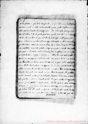 Fotogramma D 11