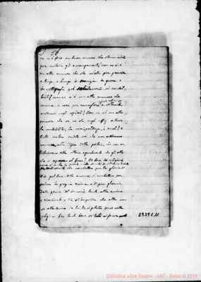 Fotogramma C 11