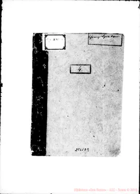 Fotogramma D 9