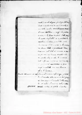 Fotogramma D 11