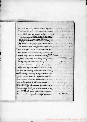 Fotogramma C 11