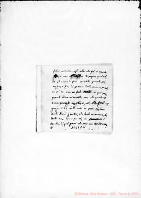 Fotogramma C 11
