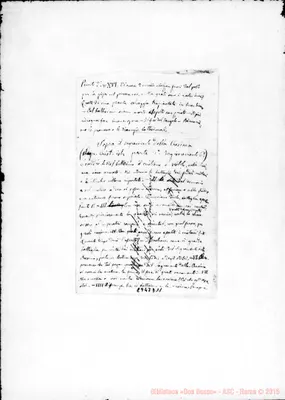 Fotogramma D 11