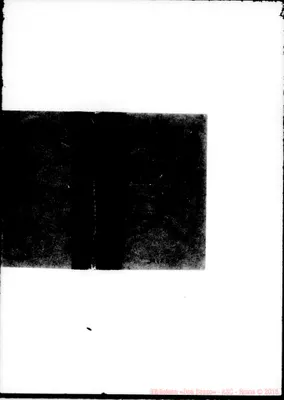 Fotogramma C 11