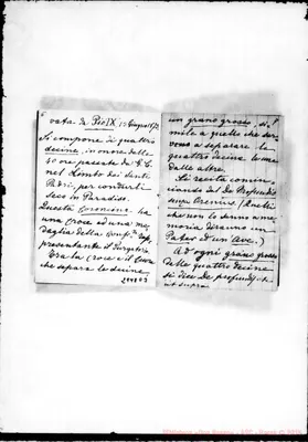 Fotogramma D 3