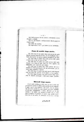 Fotogramma E 8