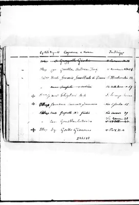 Fotogramma D 7