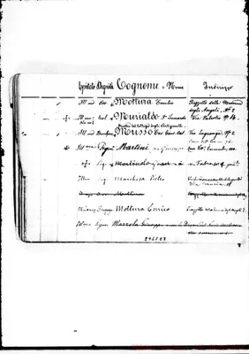 Fotogramma E 7