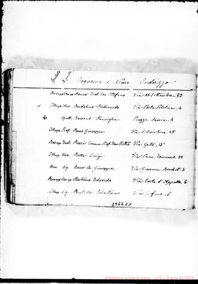 Fotogramma C 1