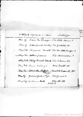 Fotogramma C 7