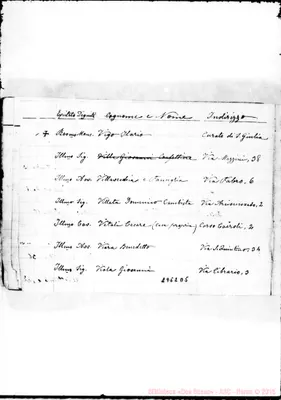 Fotogramma D 5