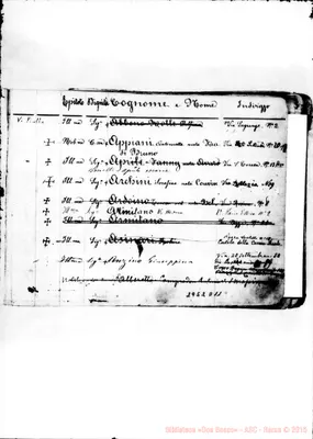 Fotogramma D 11