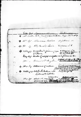 Fotogramma D 12