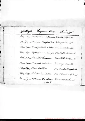 Fotogramma E 4