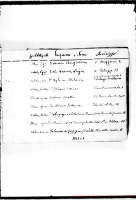 Fotogramma C 5