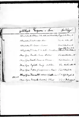 Fotogramma C 8