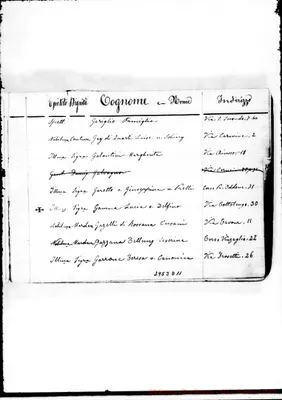 Fotogramma D 11
