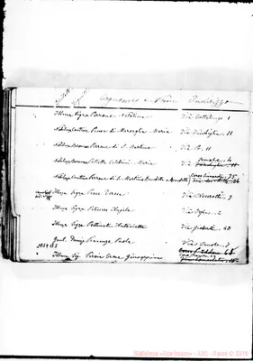 Fotogramma B 5