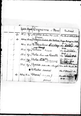 Fotogramma C 5