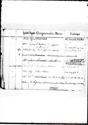 Fotogramma C 6