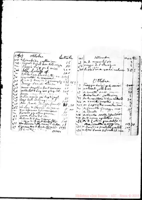 Fotogramma E 4