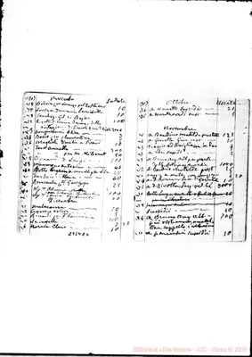 Fotogramma E 6