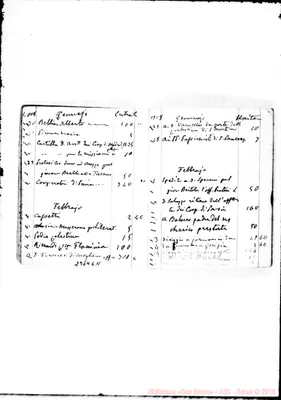 Fotogramma E 11
