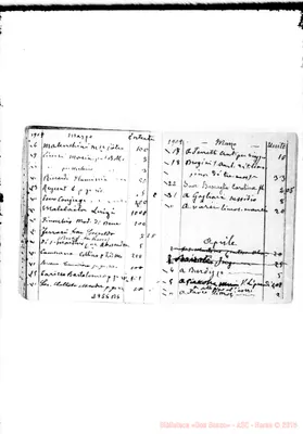 Fotogramma B 6
