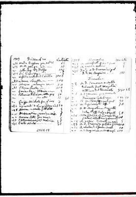 Fotogramma C 8