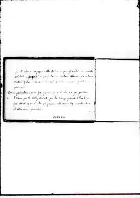 Fotogramma D 6