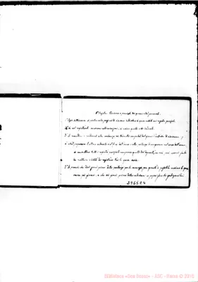 Fotogramma E 4