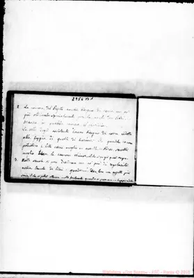 Fotogramma B 1