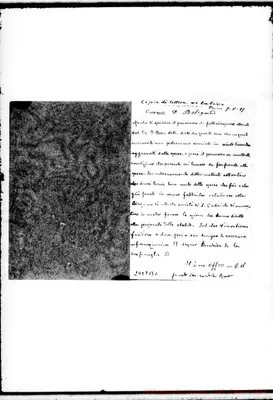 Fotogramma B 1