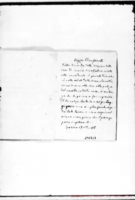 Fotogramma C 7
