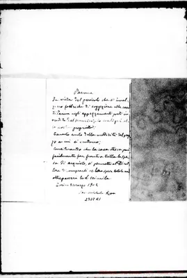Fotogramma A 1