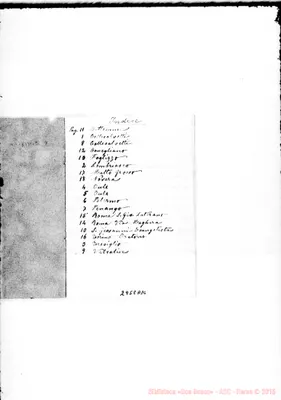 Fotogramma A 10