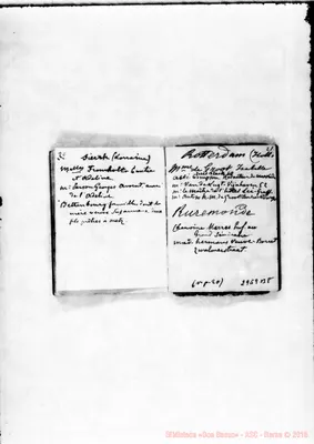 Fotogramma B 8