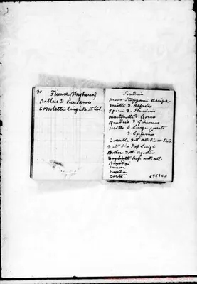 Fotogramma C 1