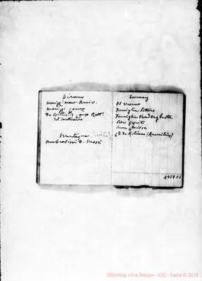 Fotogramma C 2