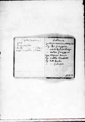Fotogramma C 3