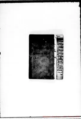 Fotogramma C 5