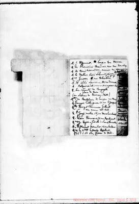 Fotogramma C 10