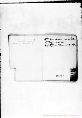 Fotogramma D 7