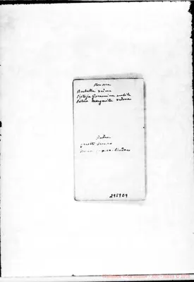 Fotogramma E 9