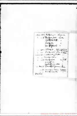 Fotogramma A 12