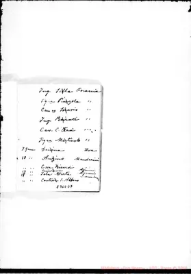Fotogramma E 7
