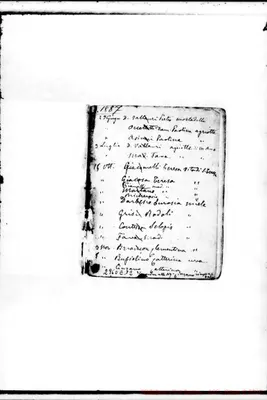 Fotogramma E 12