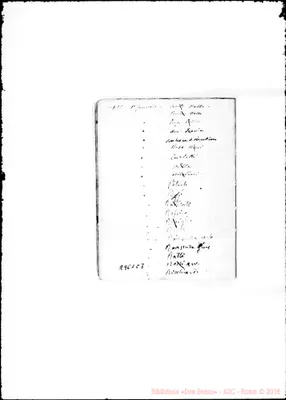 Fotogramma C 7