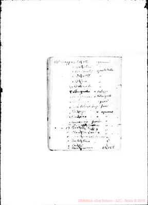 Fotogramma E 5