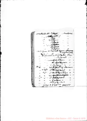 Fotogramma C 3